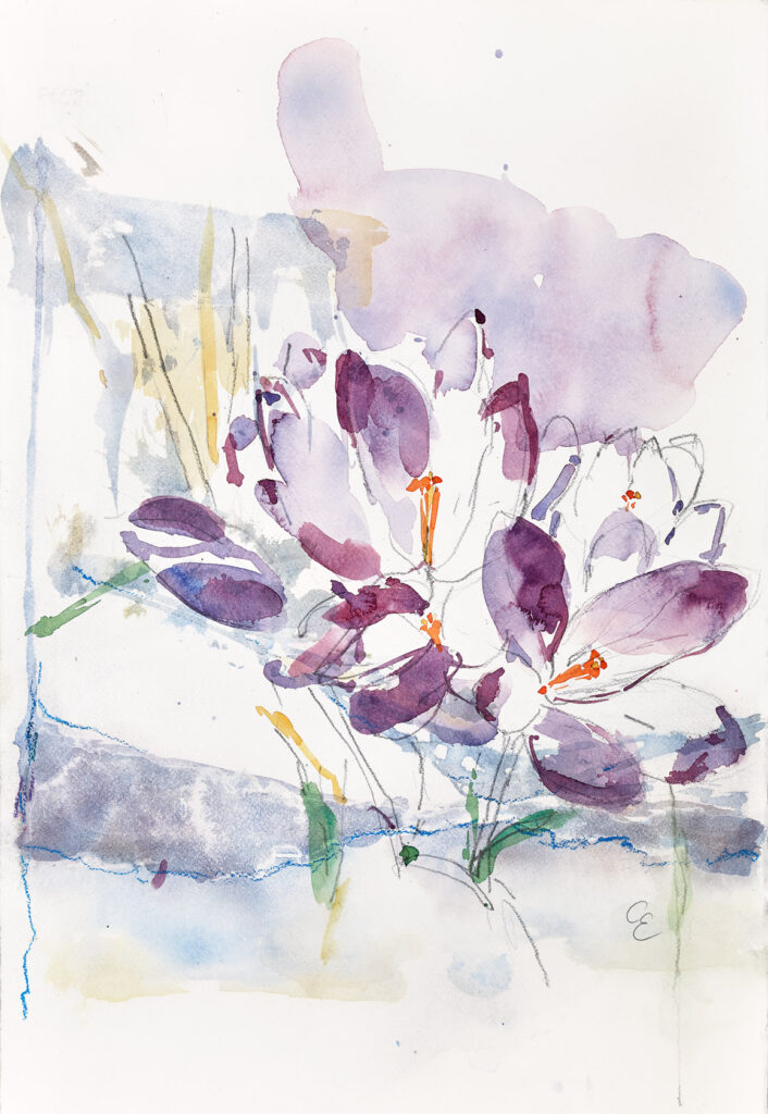 Aquarell Krokusse